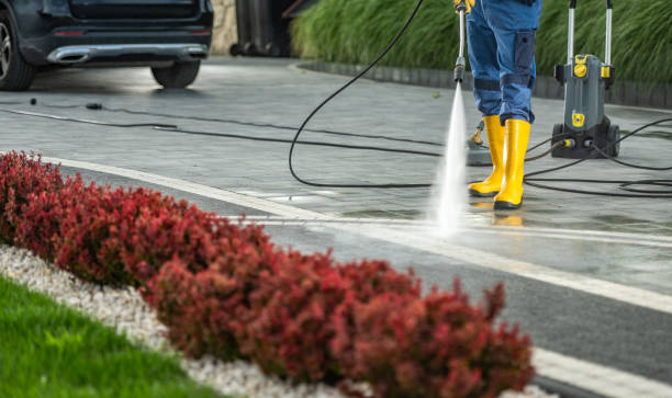 Best Vinyl Siding Pressure Washing in Warren, MN